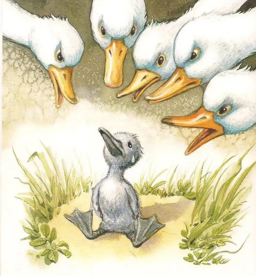 Ворона альбинос. Белая ворона в обществе. Происхождение фразеологизма белая ворона. Цитаты про белую ворону. Белая ворона фразеологизм.