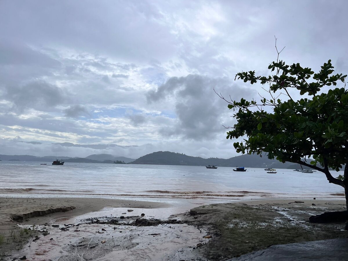 никулин зачем я соврал. неделе или недели как правильно писать. неделе или недели как правильно. следующая неделя начинается. на следующей неделе.