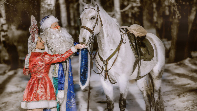     Дед Мороз и Снегурочка. dedmoroz-barnaul.ru