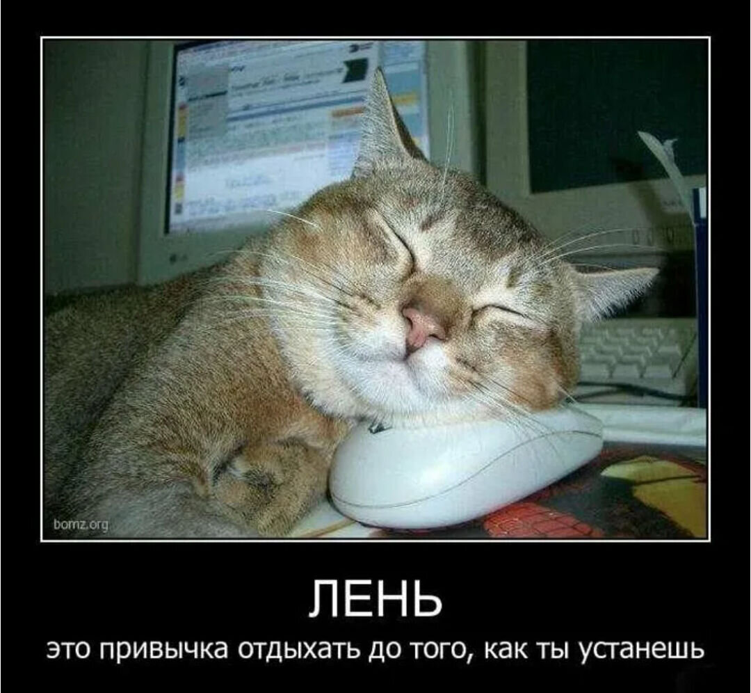 Неохота на работу картинки