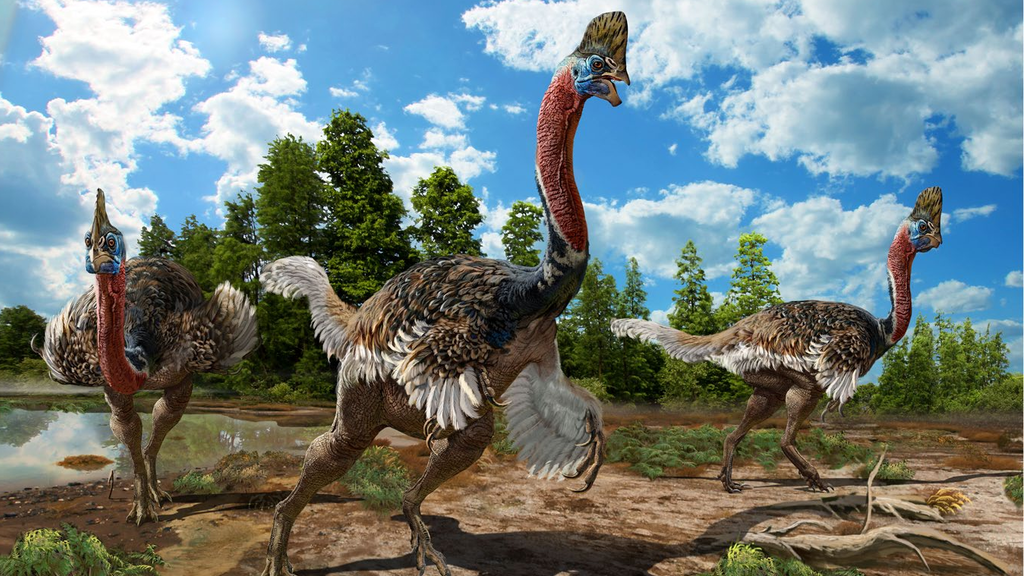 Зачем-то эти недокрылья явно были нужны.