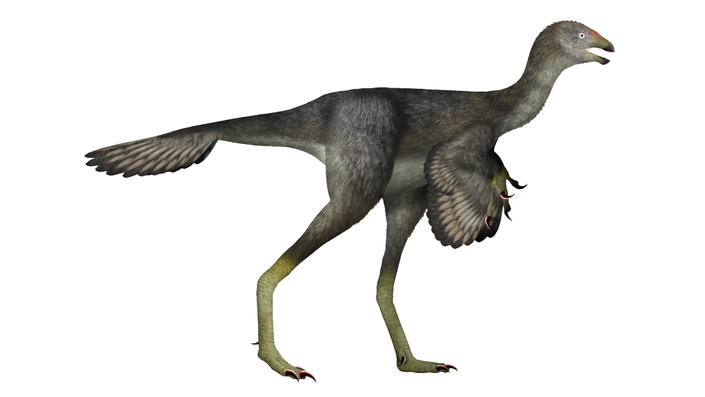 Тот самый каудиптерикс. Динозавровые перья вообще часто изображают чёрными, всё равно точно неизвестно, какого они были цвета.