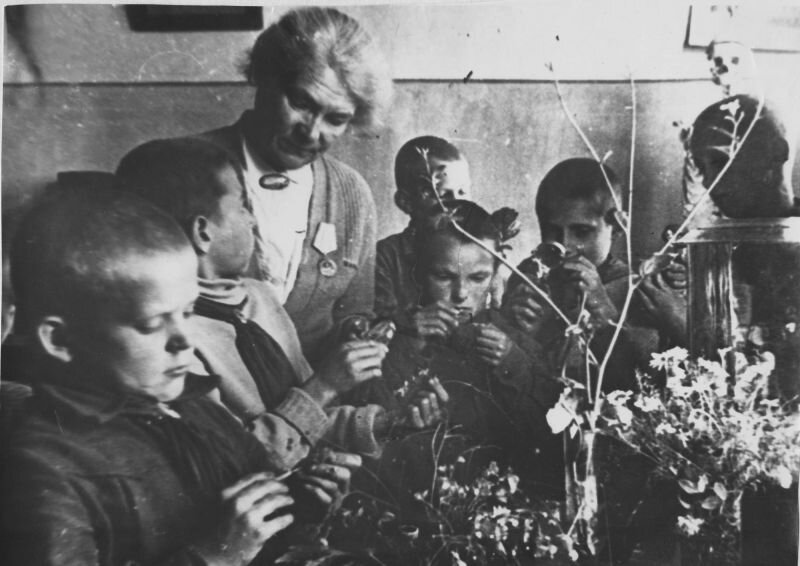Урок ботаники в ленинградской школе.  1943 год
