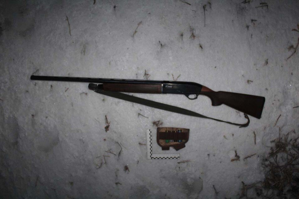 браконьерство в краснодарском крае. браконьеры нарвались на бывшего зека. браконьеры нарвались на бывшего зека. пытки заключенных в ярославской колонии 1. браконьеры на зимней охоте.