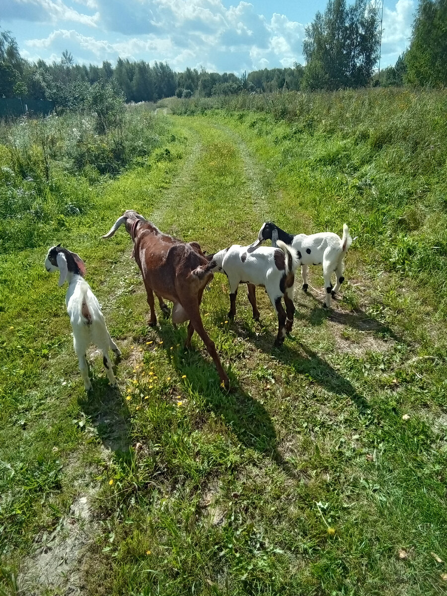 Фото автора. 