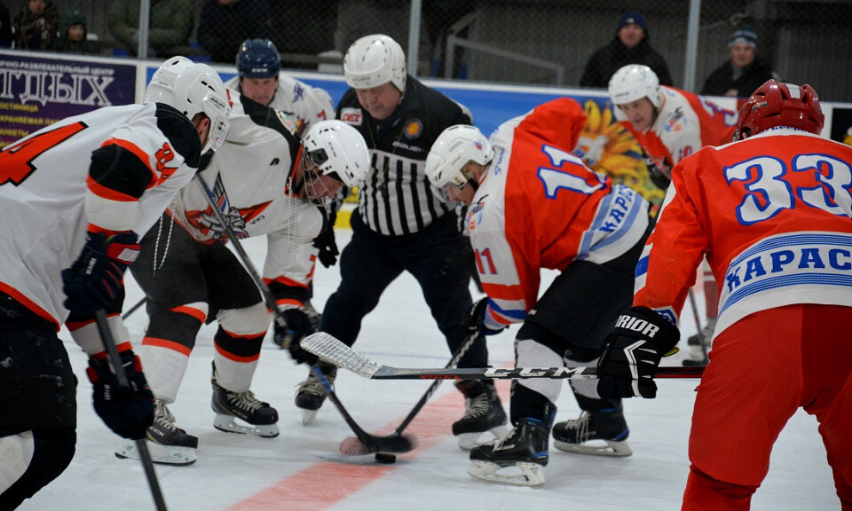 Ольга Левина / Горсайт