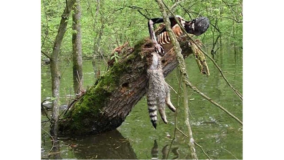 Топ самых популярных блоггеров. Миллиардер в мире. Топ 5 самых людей. Роберт паттинсон британский актёр. Топ 5 самых людей.