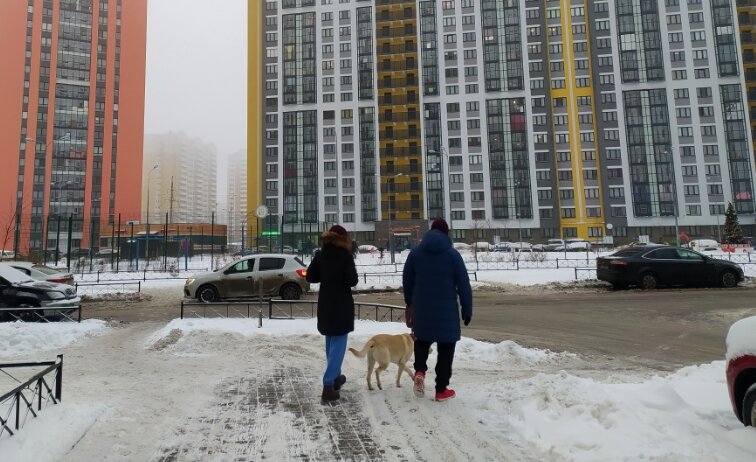 Максим Константинов\Globalloorpress