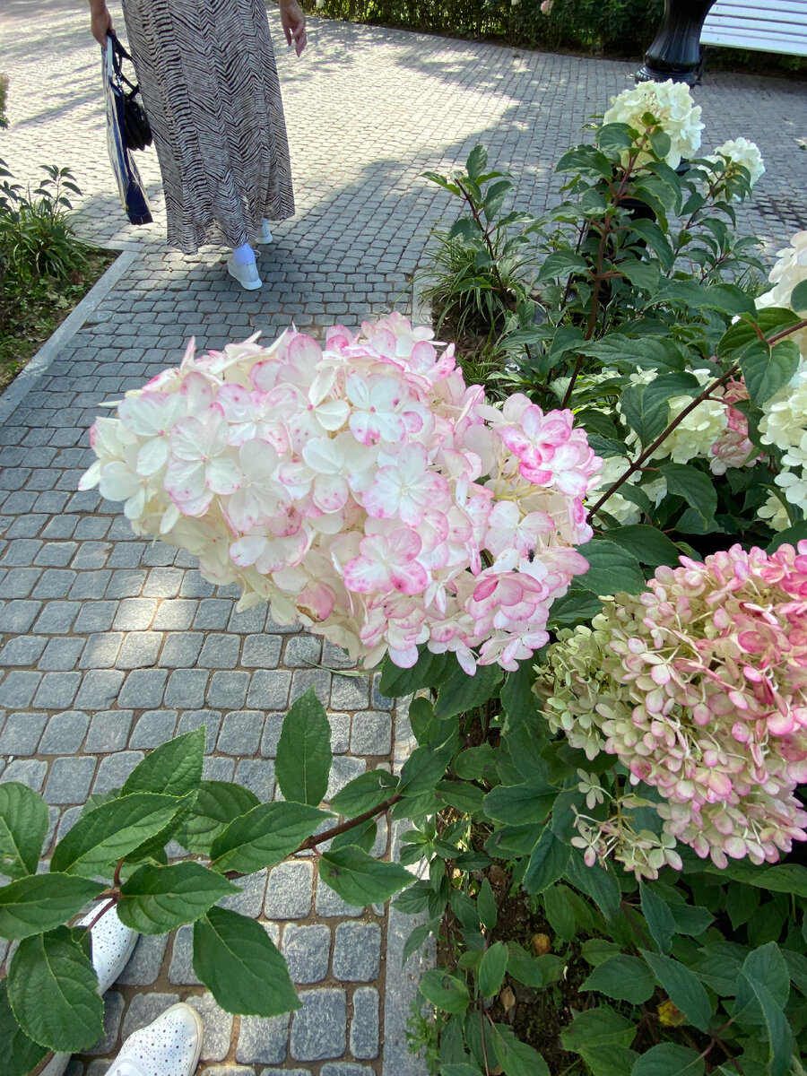 святые места в москве. посещение монастырь. печоры псковская область 1-9 мая-старые фотографии. посещение монастырь. давидова пустынь монастырь.