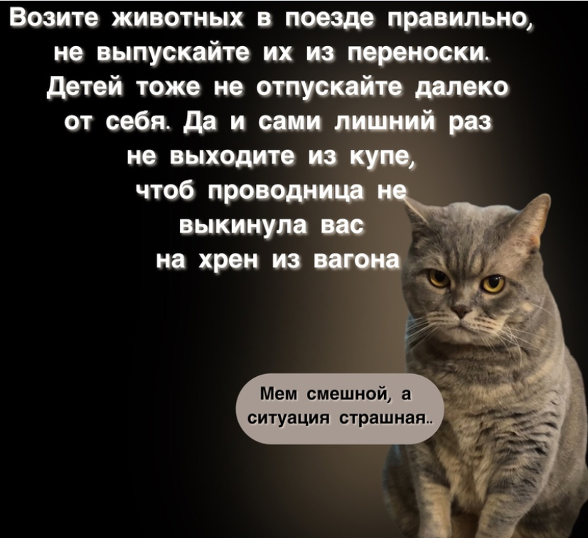 Маленький рассказ о весне. Маленький текст для 1 класса списать. Сочинение на тему зима. Напишите два небольших. Научный стиль речи текст.