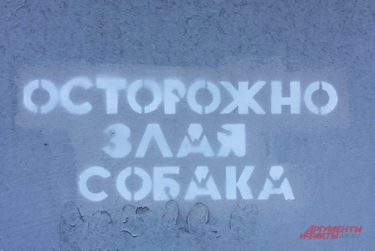    Глава СКР взял на контроль ситуацию о нападении собаки на девочку в Ростове