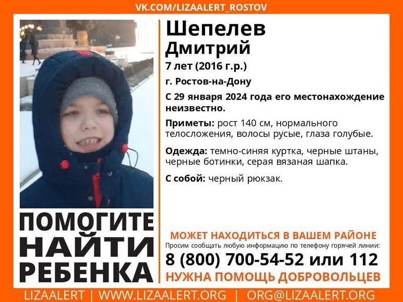 Фото: общественное движение "Лиза Алерт"