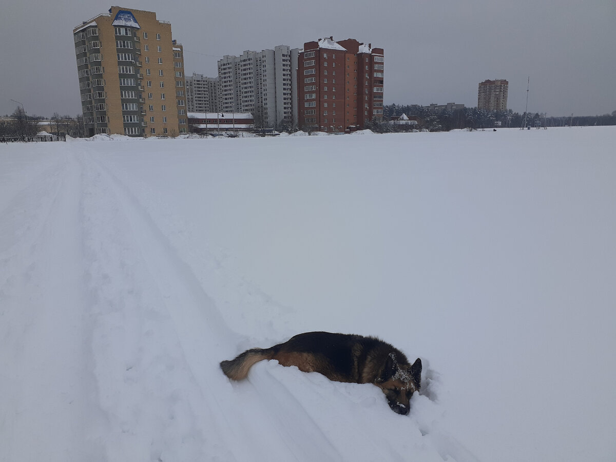 весь мир лежит во зле библия. мотивирующие цитаты для похудения. мир лежит. мотивация для похудения фразы. мир лежит во зле евангелие.