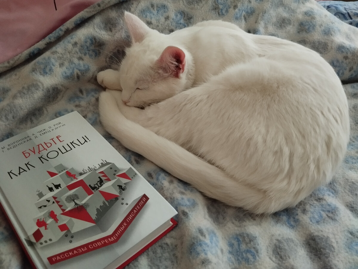 Самый лучший сборник серии) Бесмятежно-засыпательный!