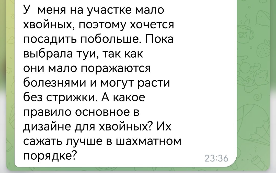  В одном из чатов пришёл такой вопрос : "У меня на участке мало хвойных, поэтому хочется посадить побольше. Пока выбрала туи, так как они мало поражаются болезнями и могут расти без стрижки.