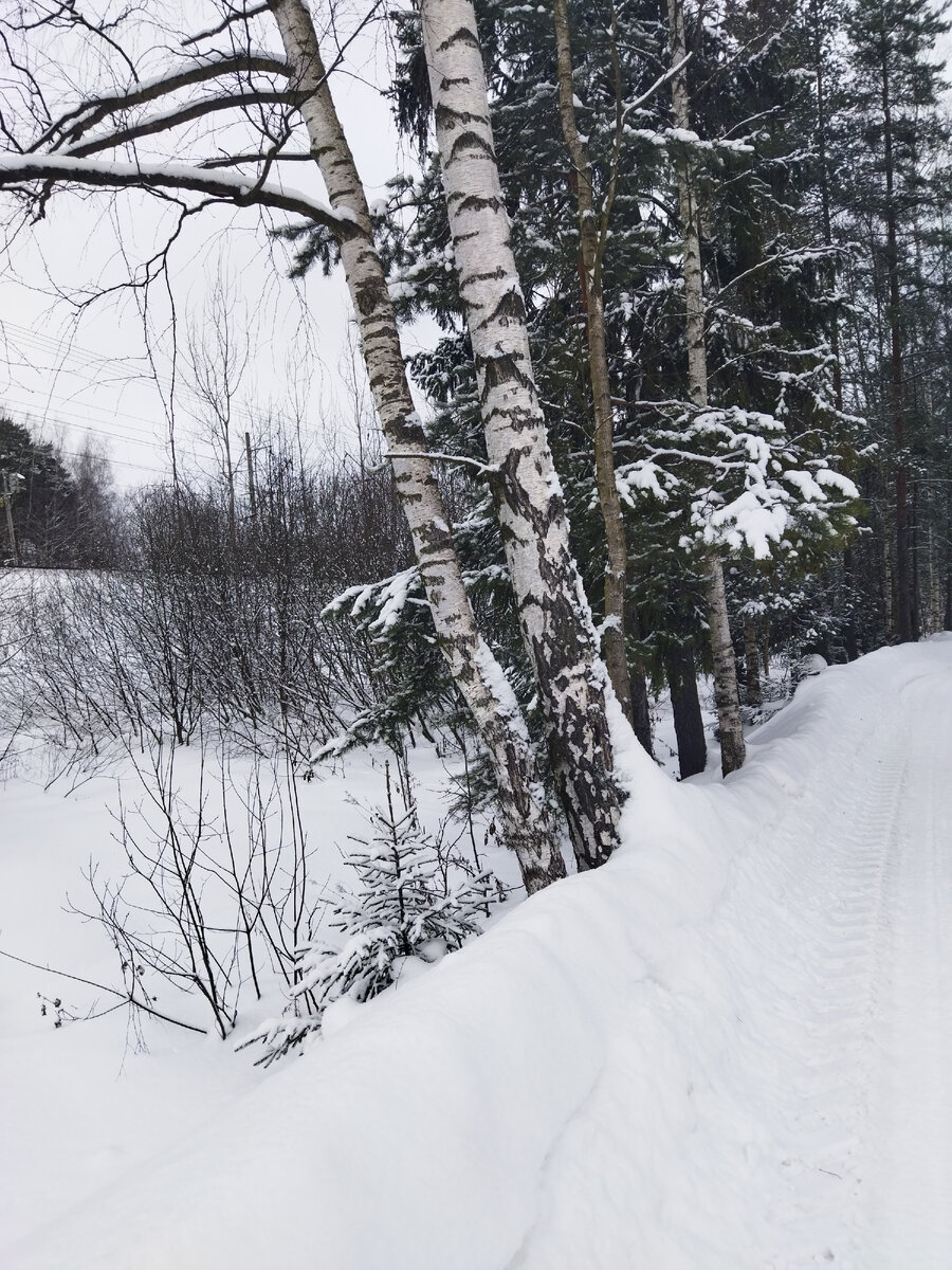 Февраль . фото автора 