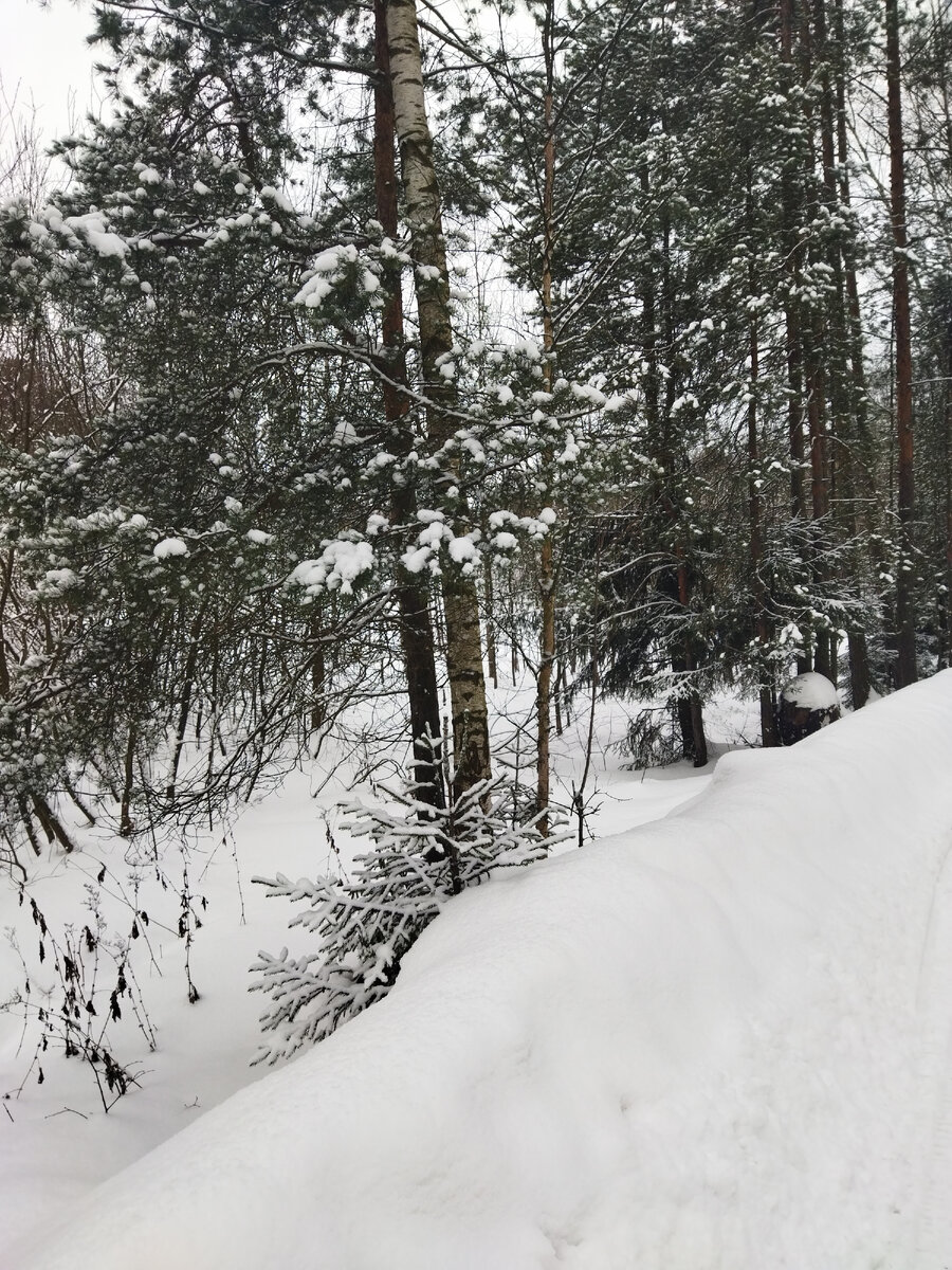 Зимний пейзаж 