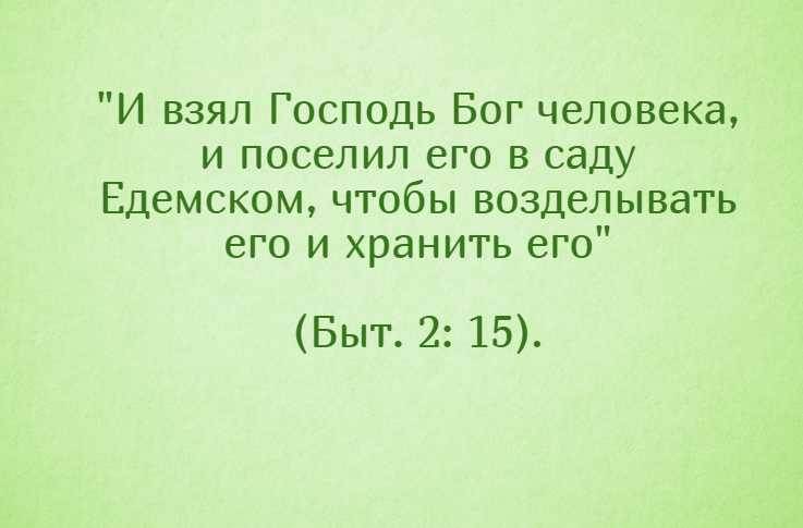 Цитаты про труд. Трудовое воспитание до. Цитаты про труд. Высказывания о труде. Труд детей цитаты.