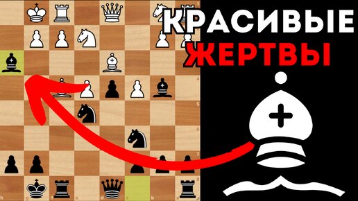 Красивые жертвы фигур в редком контргамбите Альбина. Шахматы