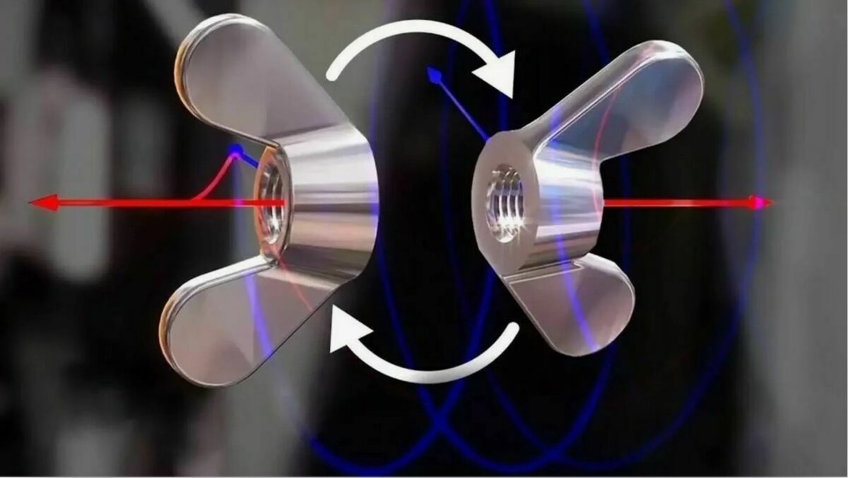 Эффект Джанибекова. Фото: newizv.ru 