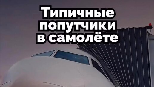 Сорок сорок для своих сорочат сорок сорочек не ссорясь строчат. Обязательные работы назначаются на срок от. Сорок сроков рока. Срок - сорок. Сорок сроков.