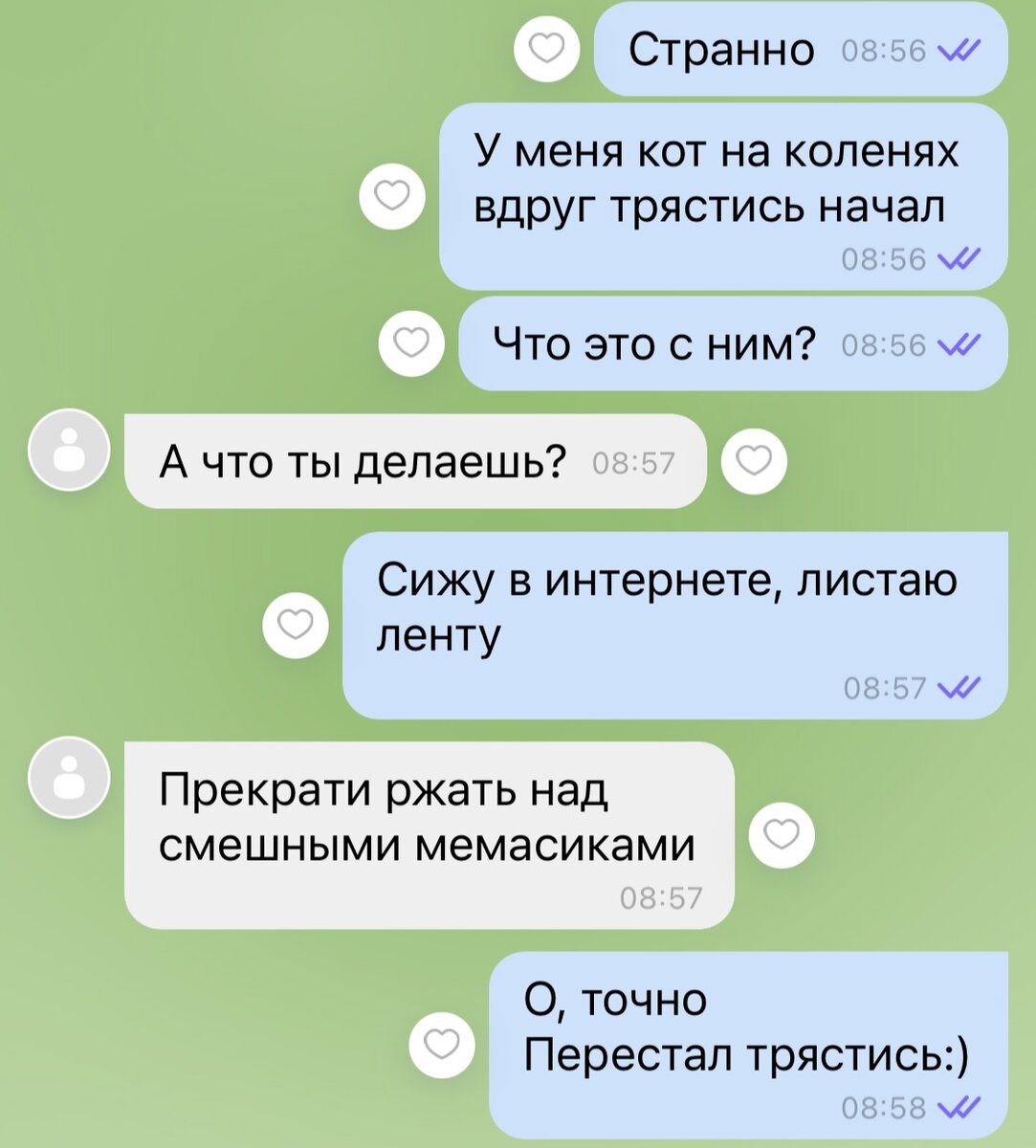 7 переписок о котиках, доказывающих, что если кота у вас нет, то и телефон  вам надо выкинуть | Кошка.ru | Дзен