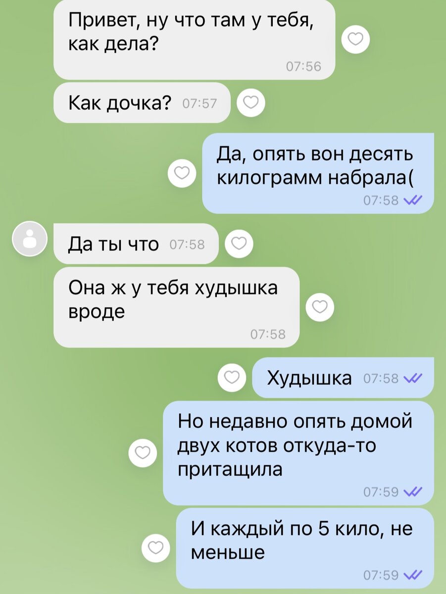 7 переписок о котиках, доказывающих, что если кота у вас нет, то и телефон  вам надо выкинуть | Кошка.ru | Дзен