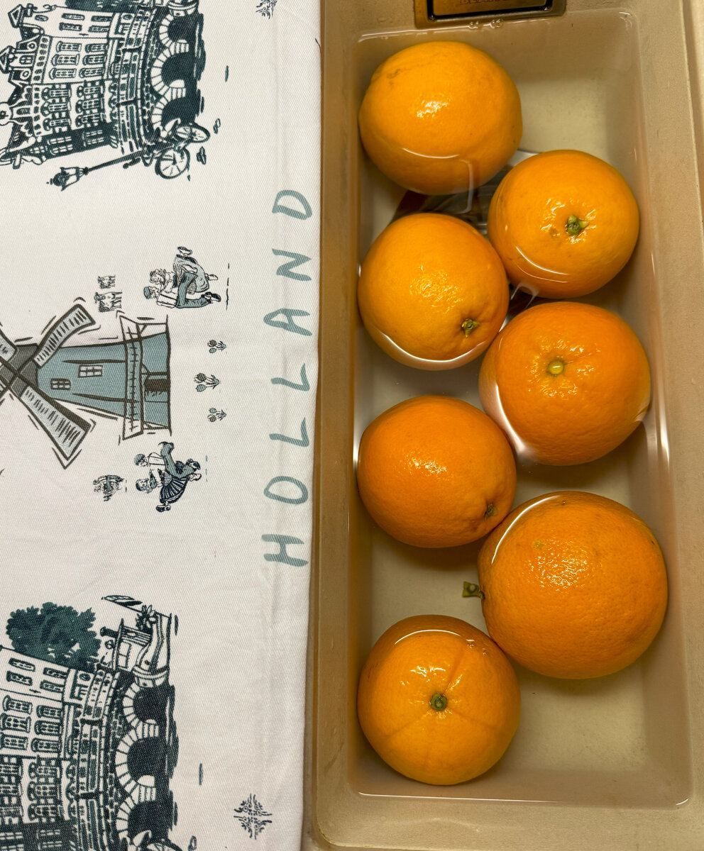 оранжело чиронья. оранжело цитрус. оранжело. чиронья грейпфрут. оранжело гибрид.