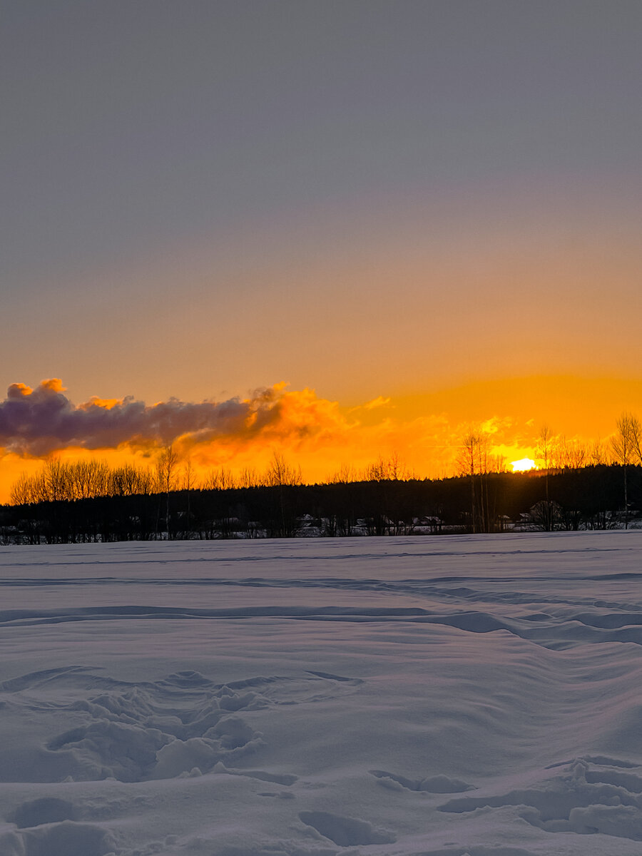 тетрадь тесты по окружающему миру 2 класс школа россии. формы земной повкрхности 2 кл. поверхность нашего края 4 класс окружающий мир тест с ответами. проверочная работа поверхность нашего края. 2 класс.
