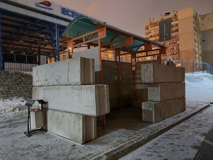 козырек над дверью из профлиста. накрытая жестяным козырьком. козырек алмарта s2200sb. козырёк над крыльцом из поликарбоната. полукруглая крыша.