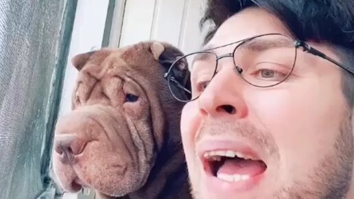 Молодец мем. Молодцов юмор. Молодец мем. Сталин расстрелять мем. Молодец прикол.