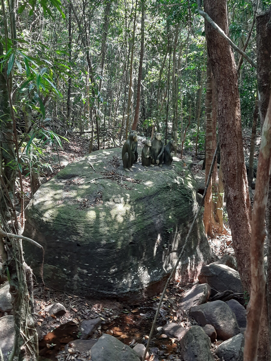 Прогулки по лесу книга махотин. Фразы про природу. Стих прогулка в лесу. Зимние статусы. Цитаты про природу.