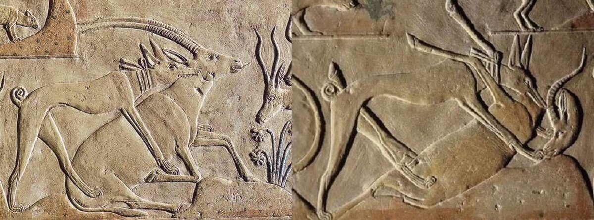 щенки группа максим тесли.