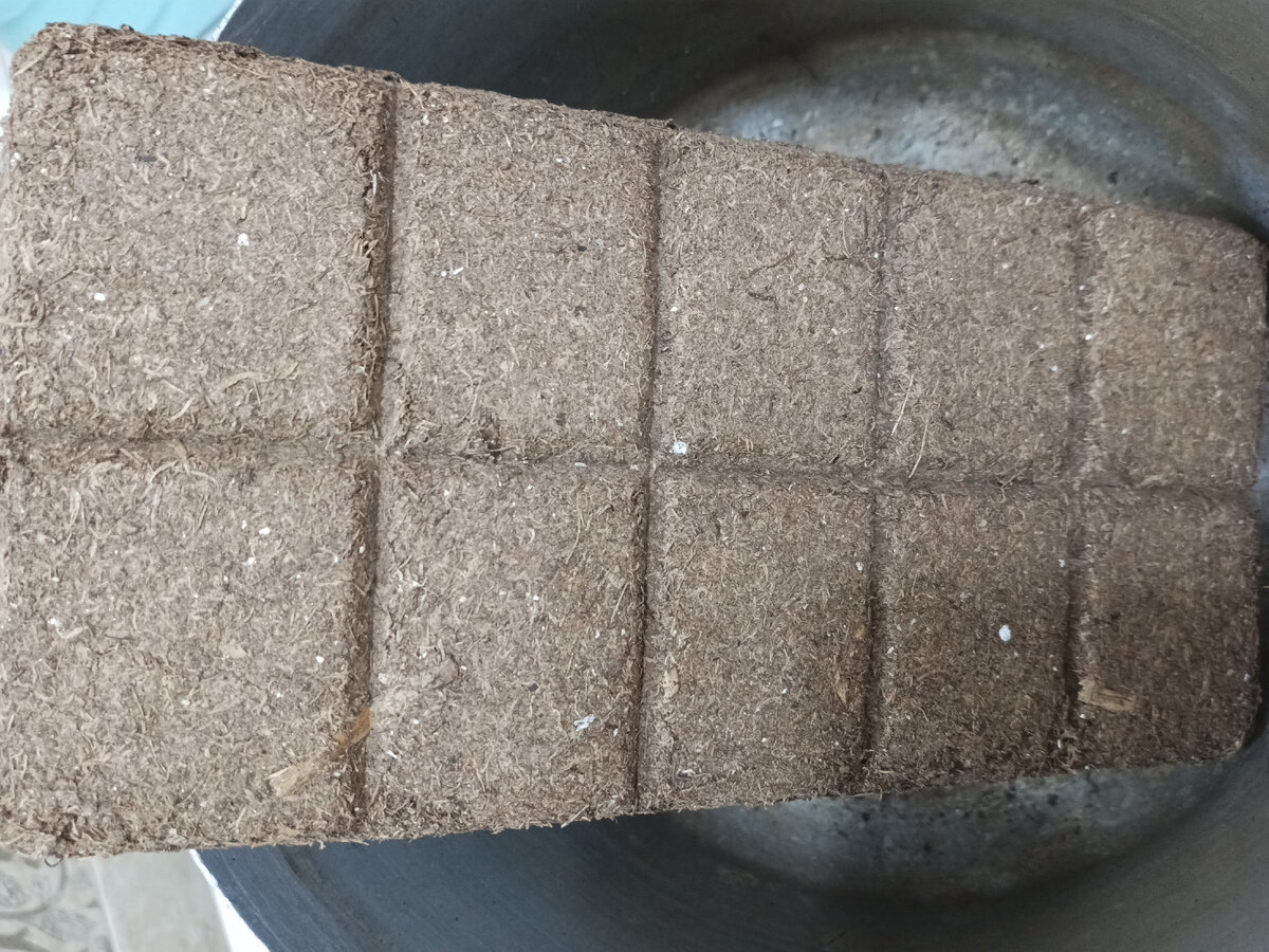 Почвобрикет готов к размачиванию