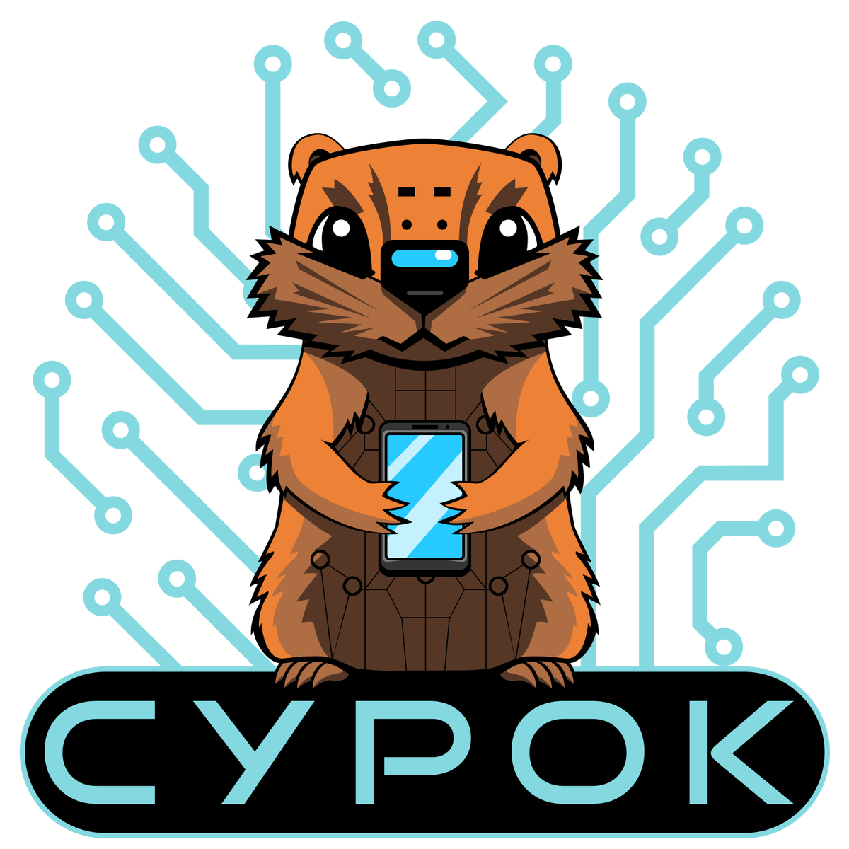 Система управления облачного контроля.