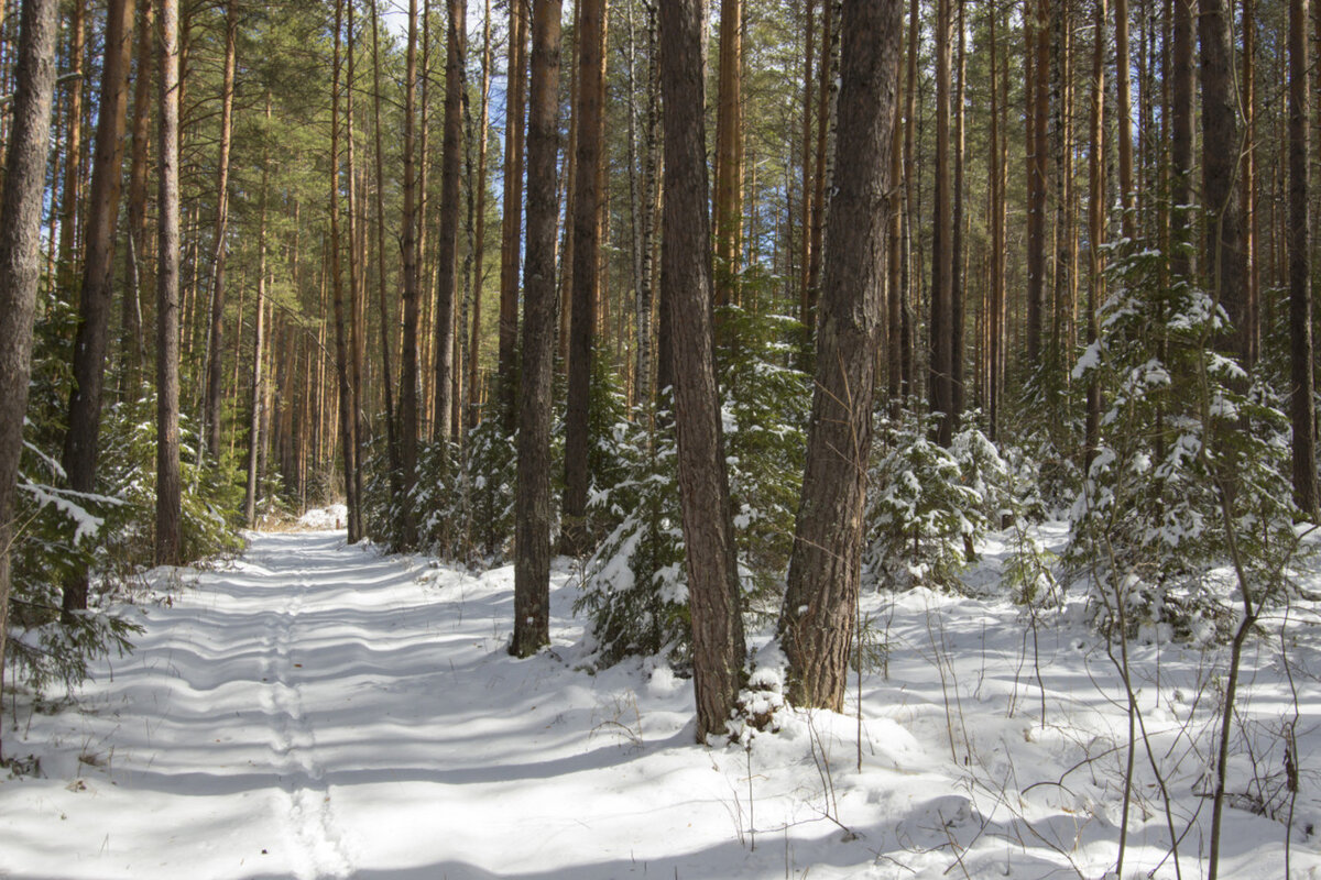 рекреационная деятельность на землях