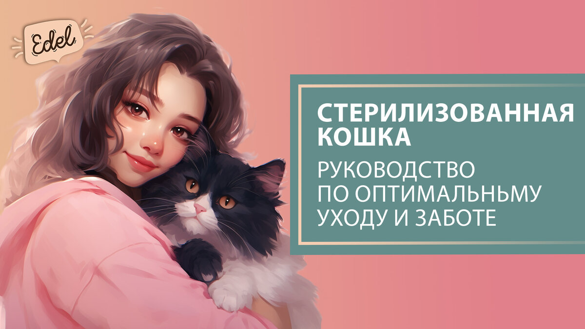 Как ухаживать за стерилизованной кошкой
