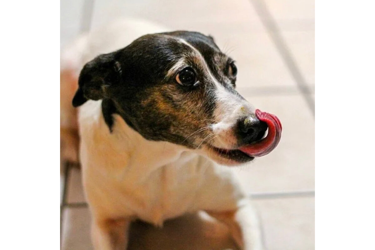 Обязательно смотрите контекст ситуации 