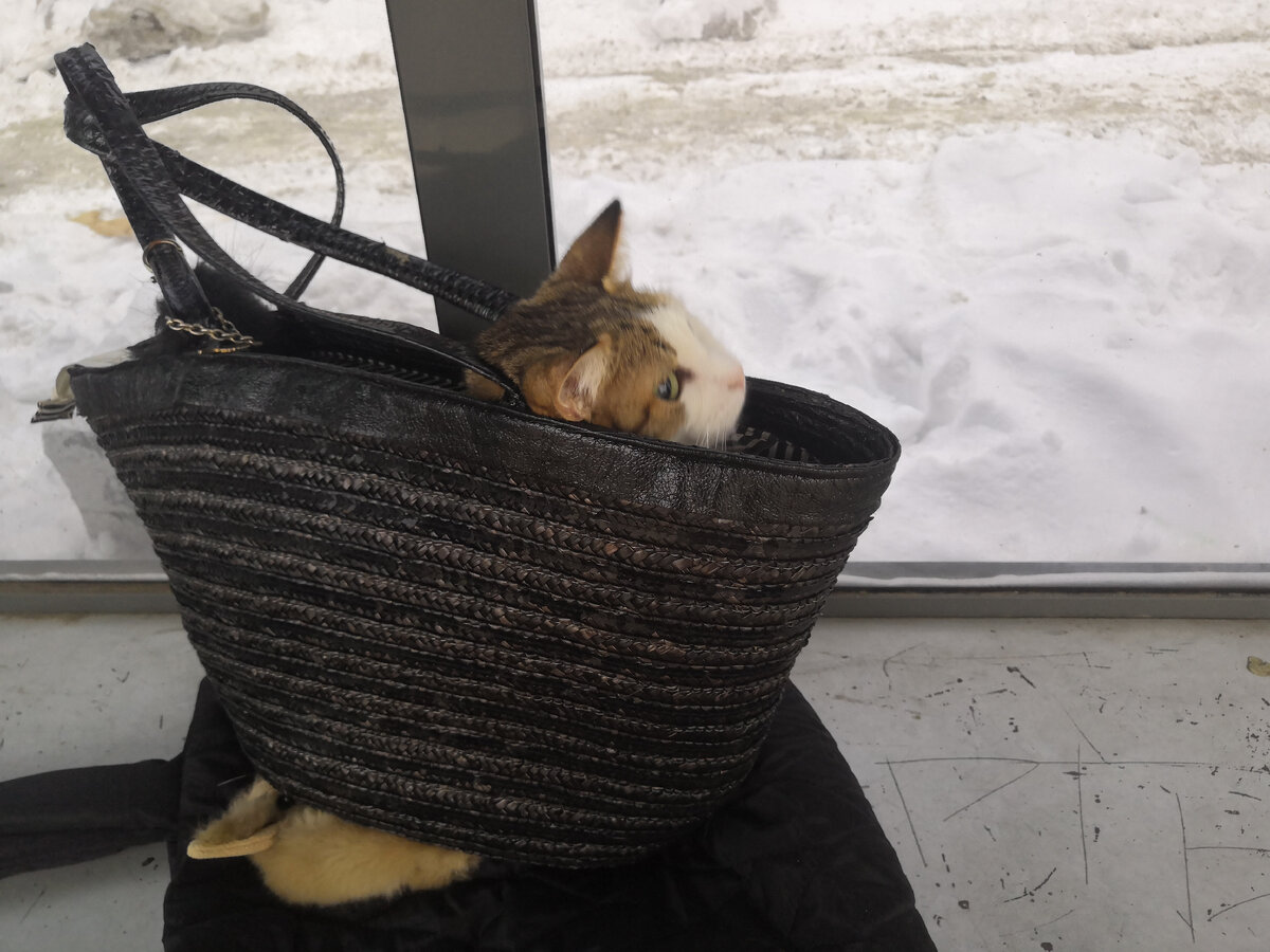 в крови горит огонь желанья пушкин. иллюстрация к романсу. живопись владимир первунинский. романс картины русских художников. только раз бывает в жизни встреча ноты.