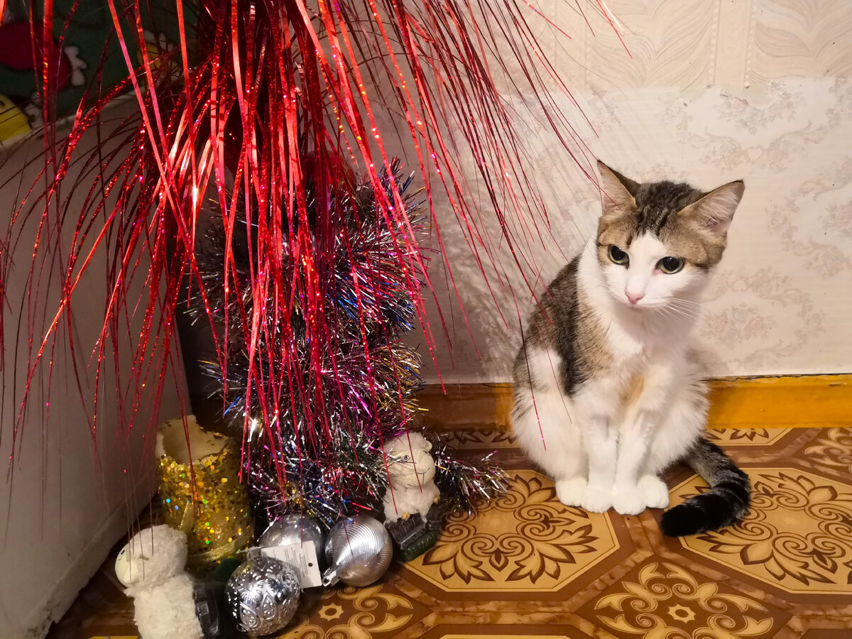 женщина волнение. девушка боится. беспокойства. канцерофобия. волнение бывает.