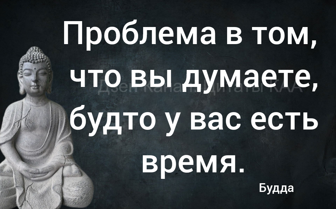 высказывания которые заставляют задуматься о жизни. умные высказывания про море. цитаты про делать. статусы про свободу. умные цитаты.
