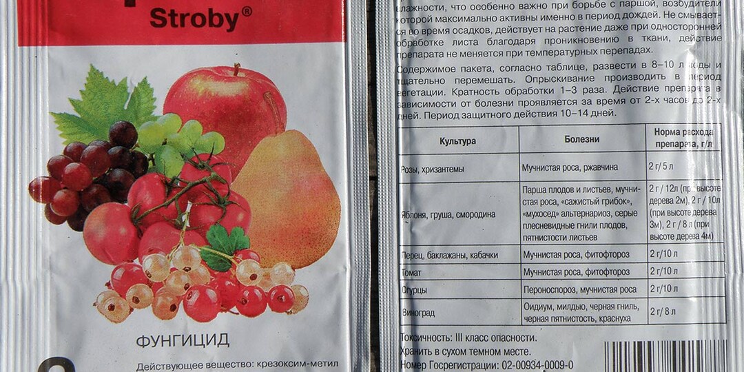 Фунгицид строби – инструкция по применению