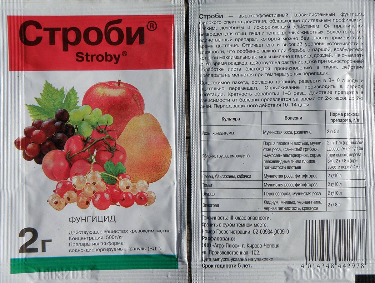 Строби аналоги. Строби 2 г. Строби 2г BASF. Фунгицид «Строби» для винограда. Строби препарат для обработки растений.