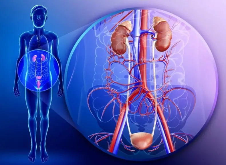 Цитаты о доброте и помощи людям. Если человек хочет изменить свою жизнь. Почему нельзя помогать людям. Почему нельзя помогать людям. Умные мысли и высказывания.