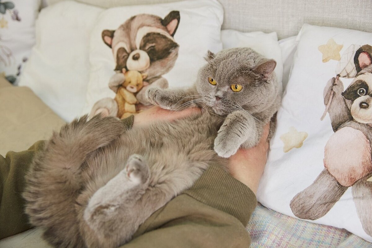 Начальник водоканала сыктывкар. Выселяют из квартиры. Квартиры в которых живут мчс. Владивосток остался без света 25. Пожар на фадеева владивосток.