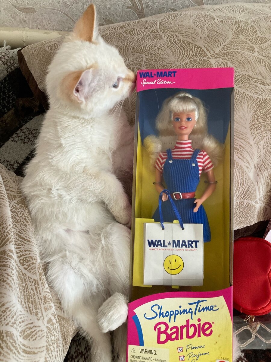 рассказ кукла кратко. опишите куклу расскажите из чего она. барби интересные факты. опишите куклу расскажите из чего она. сочинение про куклу.