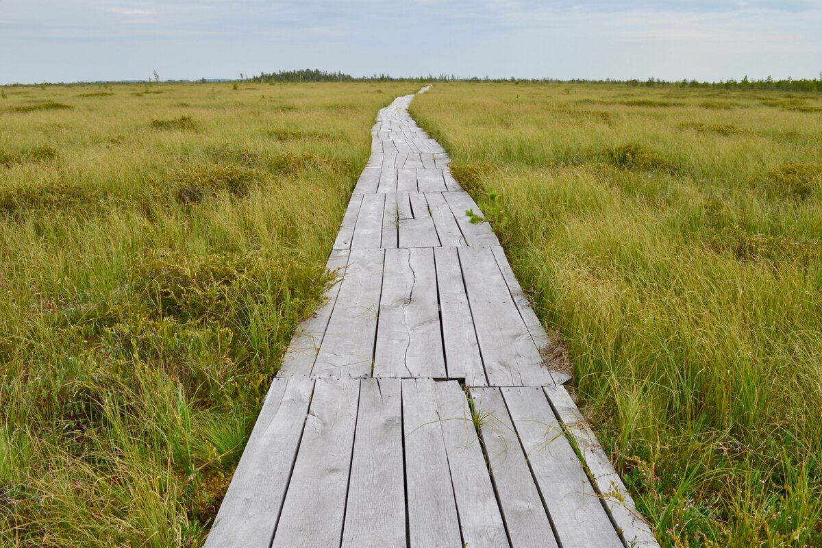 Пролагать тропу. Деревянные дорожки на даче. Человек в горах. Фотоманипуляции эрика йоханссона. Парк царицыно тропин тропинки.