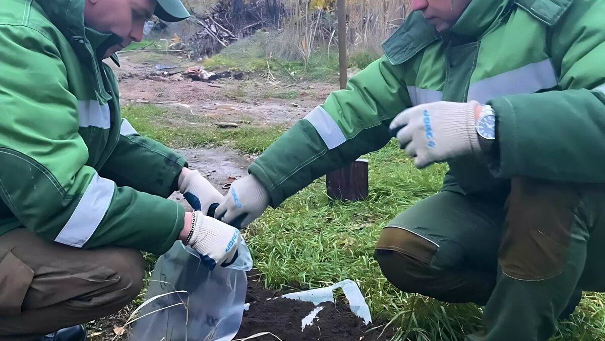     Ростовская область попала в топ регионов с самой напряженной экологической ситуацией, исследование проводил проект «Если быть точным».