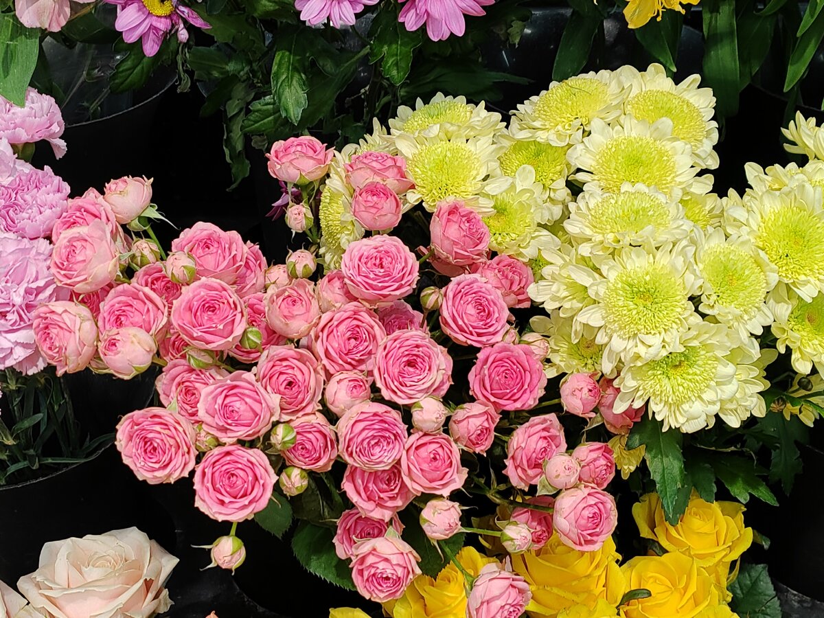 обыкновенное чудо афиша. обыкновенное чудо янковский. обыкновенное чудо фильм 1978 афиша. дуэт эмилии и трактирщика из к_ф «обыкновенное чудо. обыкновенное чудо mp3.