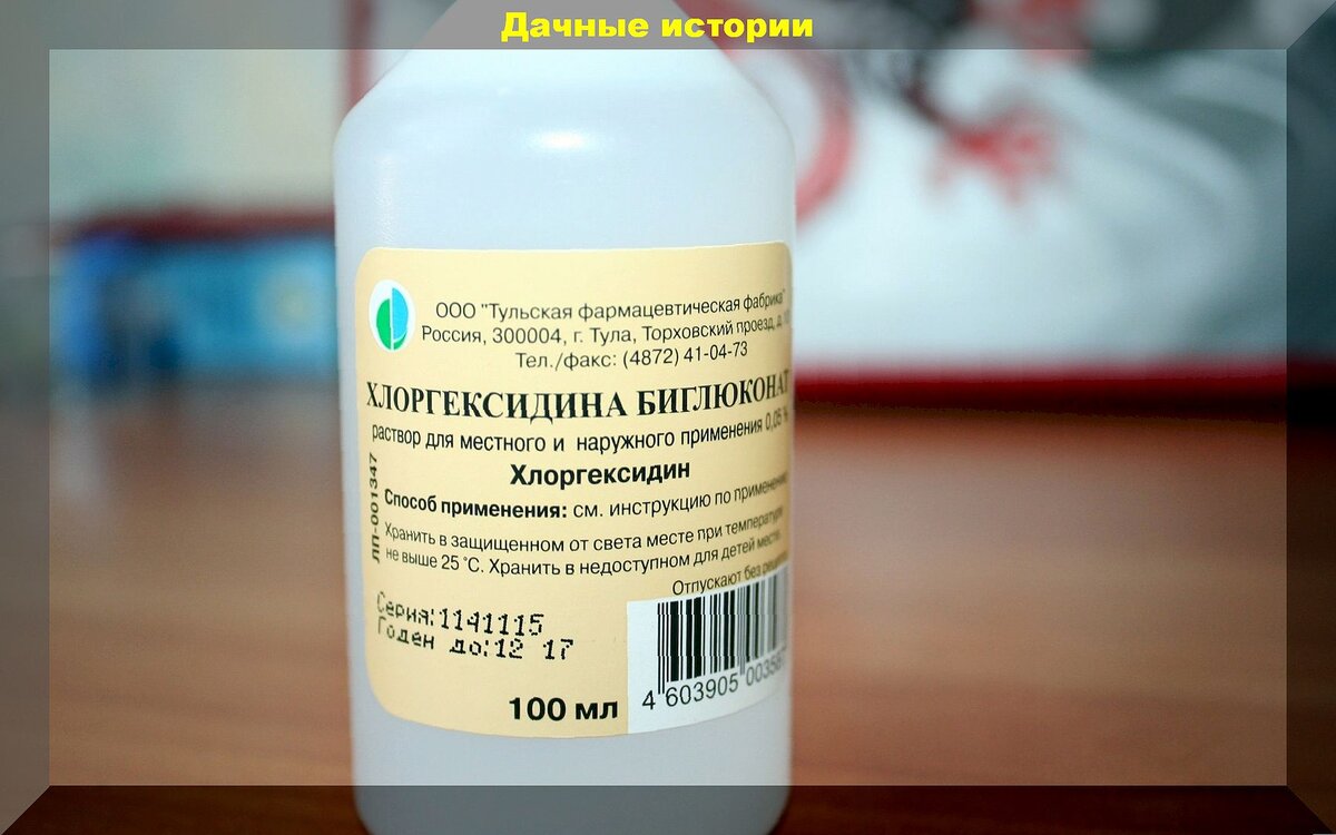 Таблетки и лекарства на страже урожая: дешевые средства из аптеки, которые  могут пригодиться в садово-огородных делах | Дачные истории | Дзен